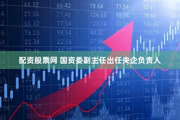 配资股票网 国资委副主任出任央企负责人